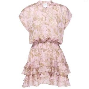 NWT Misa Los Angeles Evie dress in Rose Paisley Size: XS